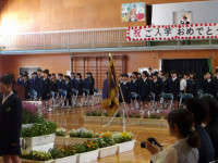 IMGP0567