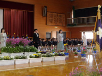 IMGP0571