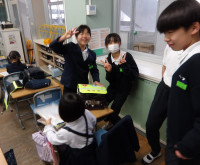 トリミング