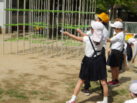 IMGP0715