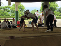 IMG_8783