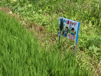 CIMG0700