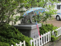 IMG_1378 - コピー (2)
