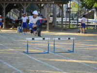 IMG_5043