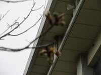 IMG_7739